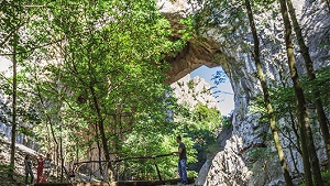 Turistička organizacija opštine Negotin Vratnjanske kapije